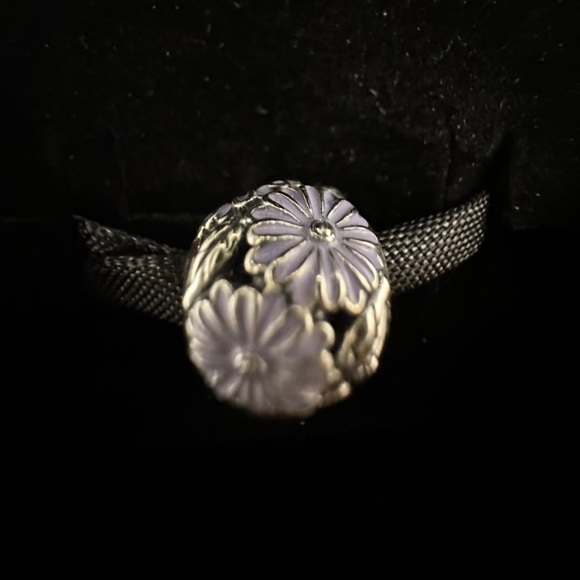 PANDORA charms authentic - Picture 1 of 9